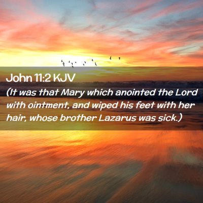 Picture 02 - John 11:2 KJV - (It was that Mary which anointed the Lord with - Bible Verse Picture