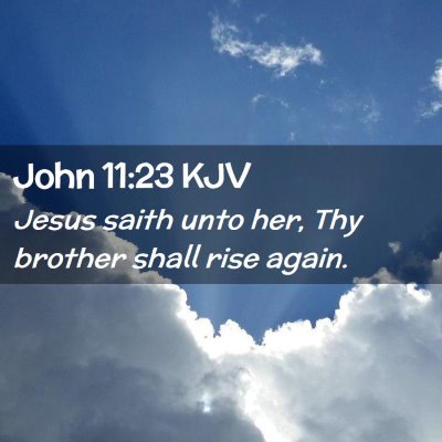 Picture 02 - John 11:23 KJV - Jesus saith unto her, Thy brother shall rise - Bible Verse Picture