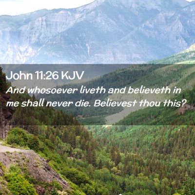 Picture 02 - John 11:26 KJV - And whosoever liveth and believeth in me shall - Bible Verse Picture