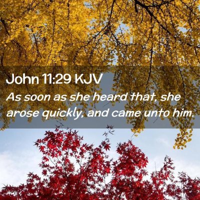 Picture 02 - John 11:29 KJV - As soon as she heard that, she arose quickly, and - Bible Verse Picture