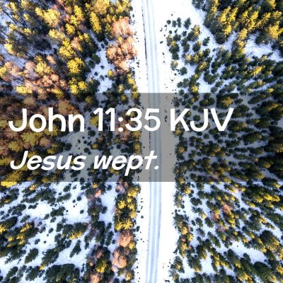 Picture 02 - John 11:35 KJV - Jesus - Bible Verse Picture