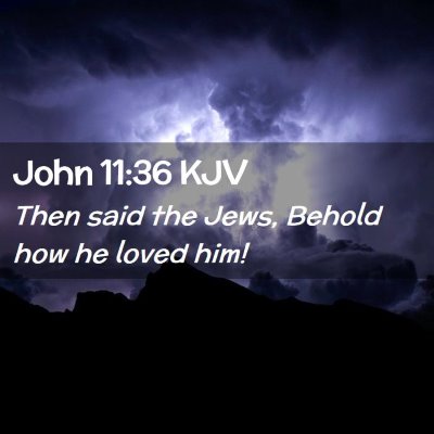 Picture 02 - John 11:36 KJV - Then said the Jews, Behold how he loved - Bible Verse Picture