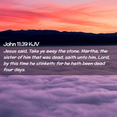 Picture 02 - John 11:39 KJV - Jesus said, Take ye away the stone. Martha, the - Bible Verse Picture