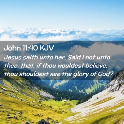 Picture 02 - John 11:40 KJV - Jesus saith unto her, Said I not unto thee, that, - Bible Verse Picture