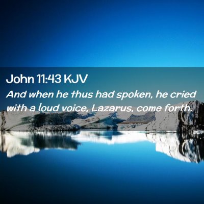 Picture 02 - John 11:43 KJV - And when he thus had spoken, he cried with a loud - Bible Verse Picture
