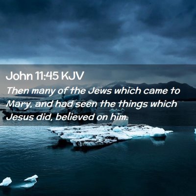 Picture 02 - John 11:45 KJV - Then many of the Jews which came to Mary, and had - Bible Verse Picture