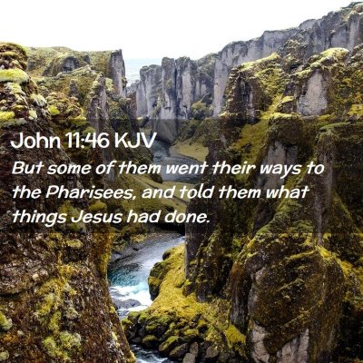 Picture 02 - John 11:46 KJV - But some of them went their ways to the - Bible Verse Picture