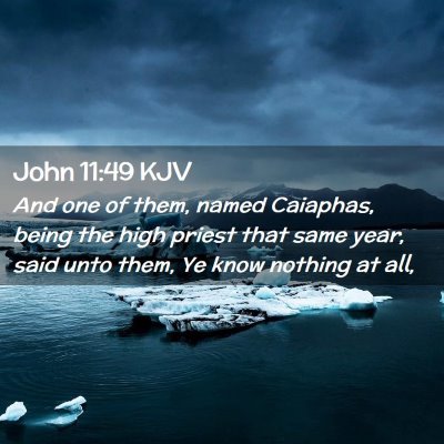 Picture 02 - John 11:49 KJV - And one of them, named Caiaphas, being the high - Bible Verse Picture