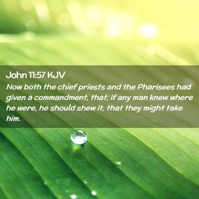 Picture 02 - John 11:57 KJV - Now both the chief priests and the Pharisees had - Bible Verse Picture