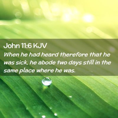 Picture 02 - John 11:6 KJV - When he had heard therefore that he was sick, he - Bible Verse Picture