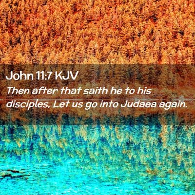 Picture 02 - John 11:7 KJV - Then after that saith he to his disciples, Let us - Bible Verse Picture