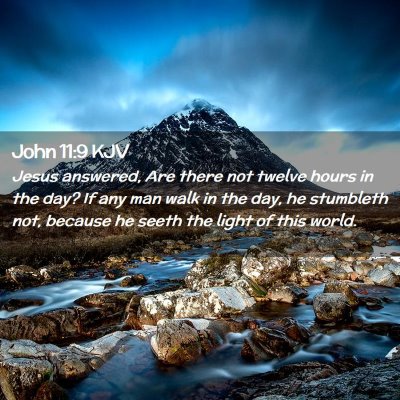 Picture 02 - John 11:9 KJV - Jesus answered, Are there not twelve hours in the - Bible Verse Picture