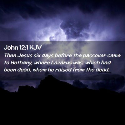 Picture 02 - John 12:1 KJV - Then Jesus six days before the passover came to - Bible Verse Picture