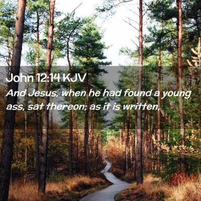 Picture 02 - John 12:14 KJV - And Jesus, when he had found a young ass, sat - Bible Verse Picture
