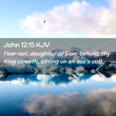 Picture 02 - John 12:15 KJV - Fear not, daughter of Sion: behold, thy King - Bible Verse Picture