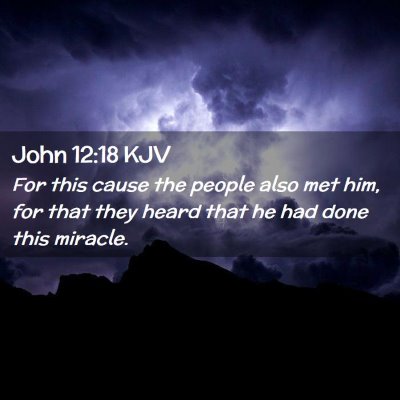 Picture 02 - John 12:18 KJV - For this cause the people also met him, for that - Bible Verse Picture