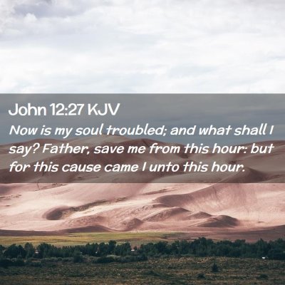 Picture 02 - John 12:27 KJV - Now is my soul troubled; and what shall I say? - Bible Verse Picture