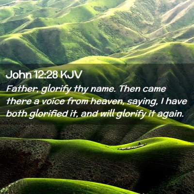 Picture 02 - John 12:28 KJV - Father, glorify thy name. Then came there a voice - Bible Verse Picture