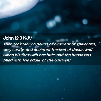 Picture 02 - John 12:3 KJV - Then took Mary a pound of ointment of spikenard, - Bible Verse Picture