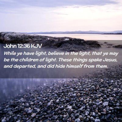Picture 02 - John 12:36 KJV - While ye have light, believe in the light, that - Bible Verse Picture