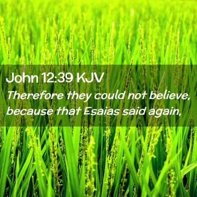Picture 02 - John 12:39 KJV - Therefore they could not believe, because that - Bible Verse Picture