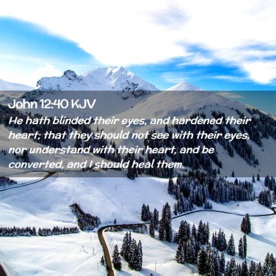 Picture 02 - John 12:40 KJV - He hath blinded their eyes, and hardened their - Bible Verse Picture