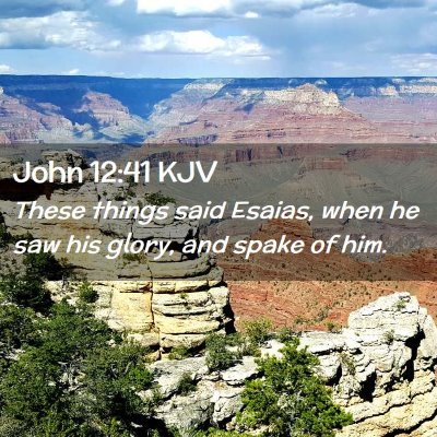 Picture 02 - John 12:41 KJV - These things said Esaias, when he saw his glory, - Bible Verse Picture