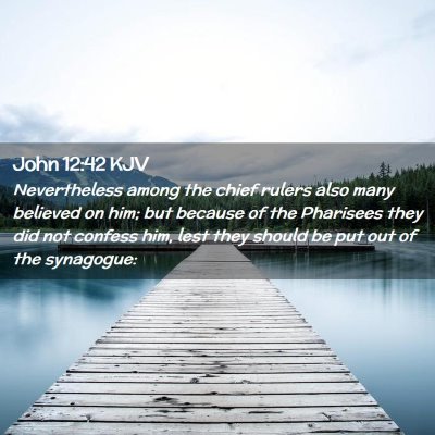 Picture 02 - John 12:42 KJV - Nevertheless among the chief rulers also many - Bible Verse Picture