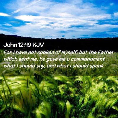 Picture 02 - John 12:49 KJV - For I have not spoken of myself; but the Father - Bible Verse Picture