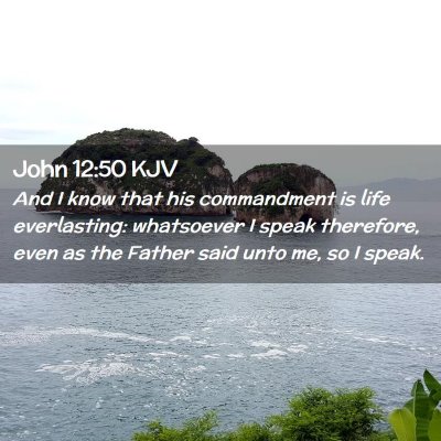 Picture 02 - John 12:50 KJV - And I know that his commandment is life - Bible Verse Picture