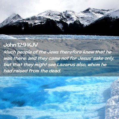 Picture 02 - John 12:9 KJV - Much people of the Jews therefore knew that he - Bible Verse Picture