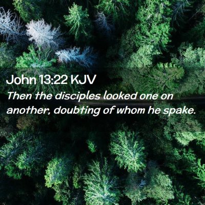 Picture 02 - John 13:22 KJV - Then the disciples looked one on another, - Bible Verse Picture