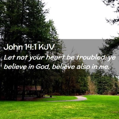 Picture 02 - John 14:1 KJV - Let not your heart be troubled: ye believe in - Bible Verse Picture