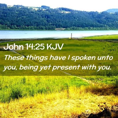 Picture 02 - John 14:25 KJV - These things have I spoken unto you, being yet - Bible Verse Picture