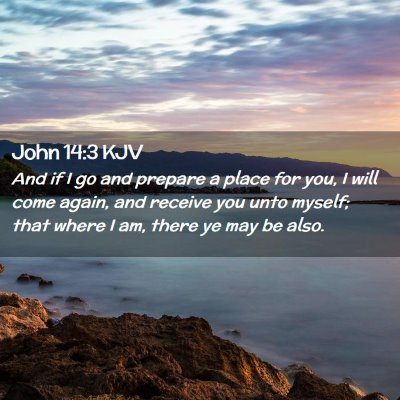 Picture 02 - John 14:3 KJV - And if I go and prepare a place for you, I will - Bible Verse Picture