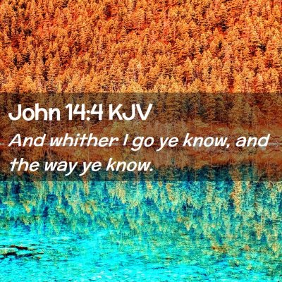Picture 02 - John 14:4 KJV - And whither I go ye know, and the way ye - Bible Verse Picture
