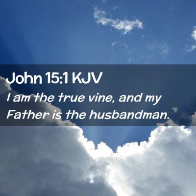 Picture 02 - John 15:1 KJV - I am the true vine, and my Father is the - Bible Verse Picture