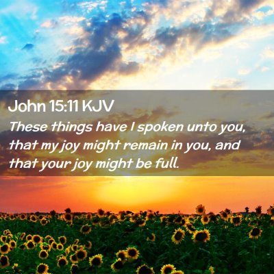 Picture 02 - John 15:11 KJV - These things have I spoken unto you, that my joy - Bible Verse Picture