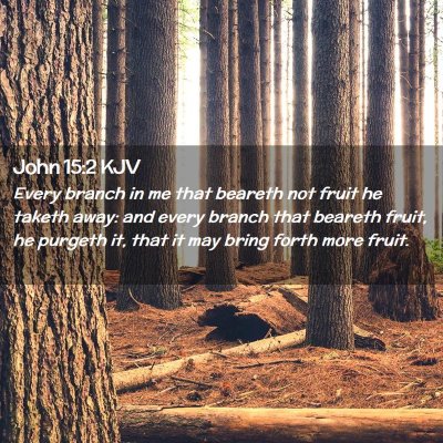 Picture 02 - John 15:2 KJV - Every branch in me that beareth not fruit he - Bible Verse Picture
