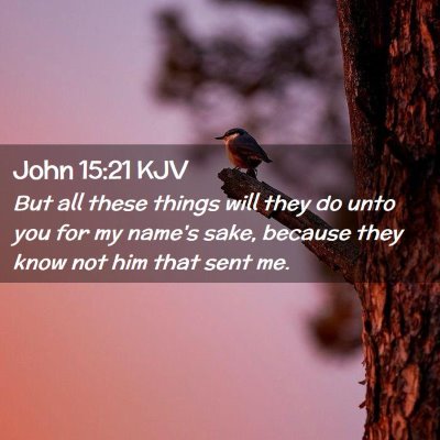 Picture 02 - John 15:21 KJV - But all these things will they do unto you for my - Bible Verse Picture