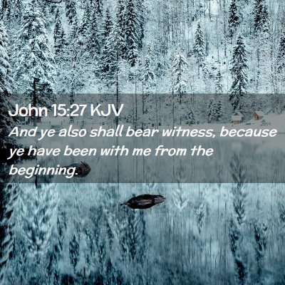 Picture 02 - John 15:27 KJV - And ye also shall bear witness, because ye have - Bible Verse Picture