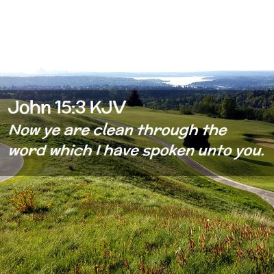 Picture 02 - John 15:3 KJV - Now ye are clean through the word which I have - Bible Verse Picture
