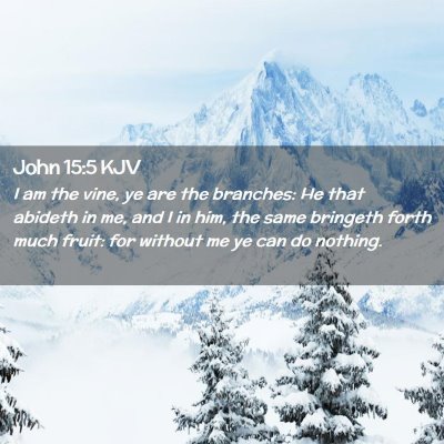 Picture 02 - John 15:5 KJV - I am the vine, ye are the branches: He that - Bible Verse Picture