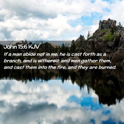 Picture 02 - John 15:6 KJV - If a man abide not in me, he is cast forth as a - Bible Verse Picture