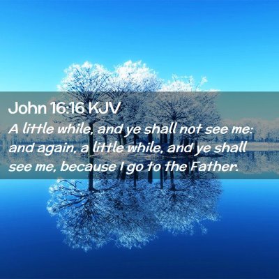 Picture 02 - John 16:16 KJV - A little while, and ye shall not see me: and - Bible Verse Picture