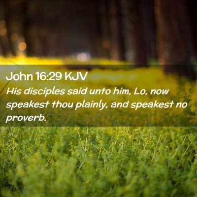 Picture 02 - John 16:29 KJV - His disciples said unto him, Lo, now speakest - Bible Verse Picture