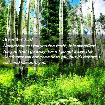 Picture 02 - John 16:7 KJV - Nevertheless I tell you the truth; It is - Bible Verse Picture