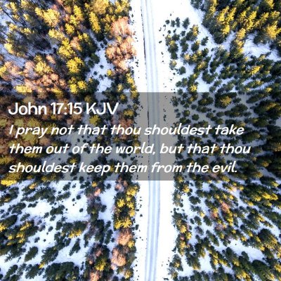 Picture 02 - John 17:15 KJV - I pray not that thou shouldest take them out of - Bible Verse Picture