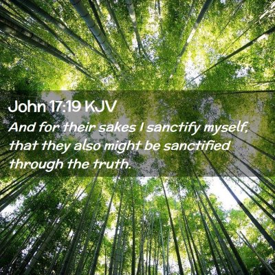 Picture 02 - John 17:19 KJV - And for their sakes I sanctify myself, that they - Bible Verse Picture