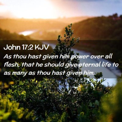 Picture 02 - John 17:2 KJV - As thou hast given him power over all flesh, that - Bible Verse Picture